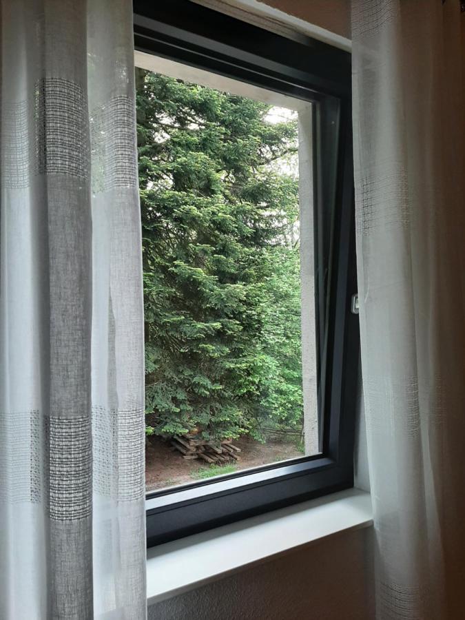 Ferienwohnung Waldurlaub Klingelborn im Sauerland Balve Exterior foto